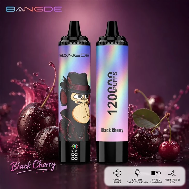 Bang DE 120000 Puffs 120K Disposable Vape Pen suppliers
