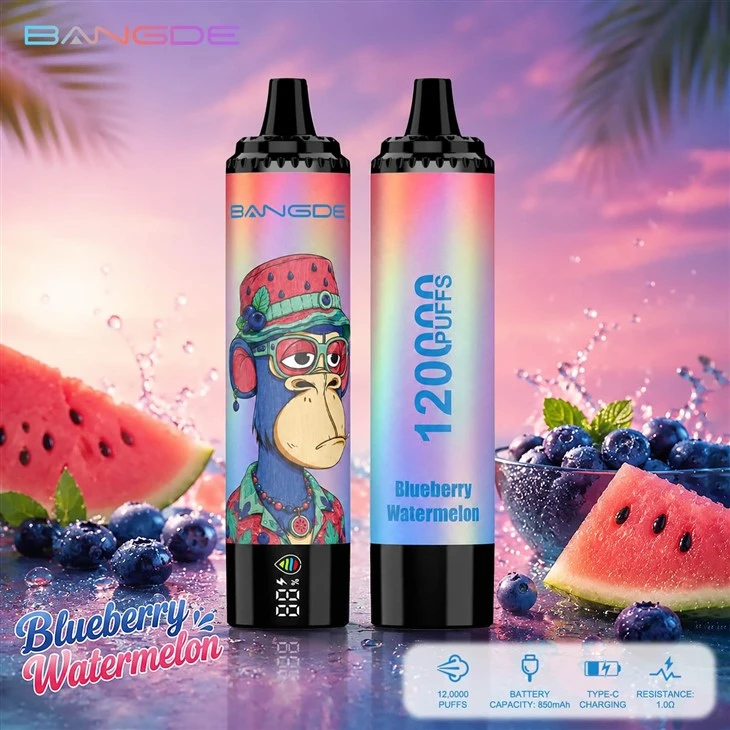 Bang DE 120000 Puffs 120K Disposable Vape Pen best