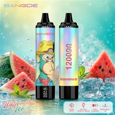 Bang DE 120000 Puffs 120K Disposable Vape Pen